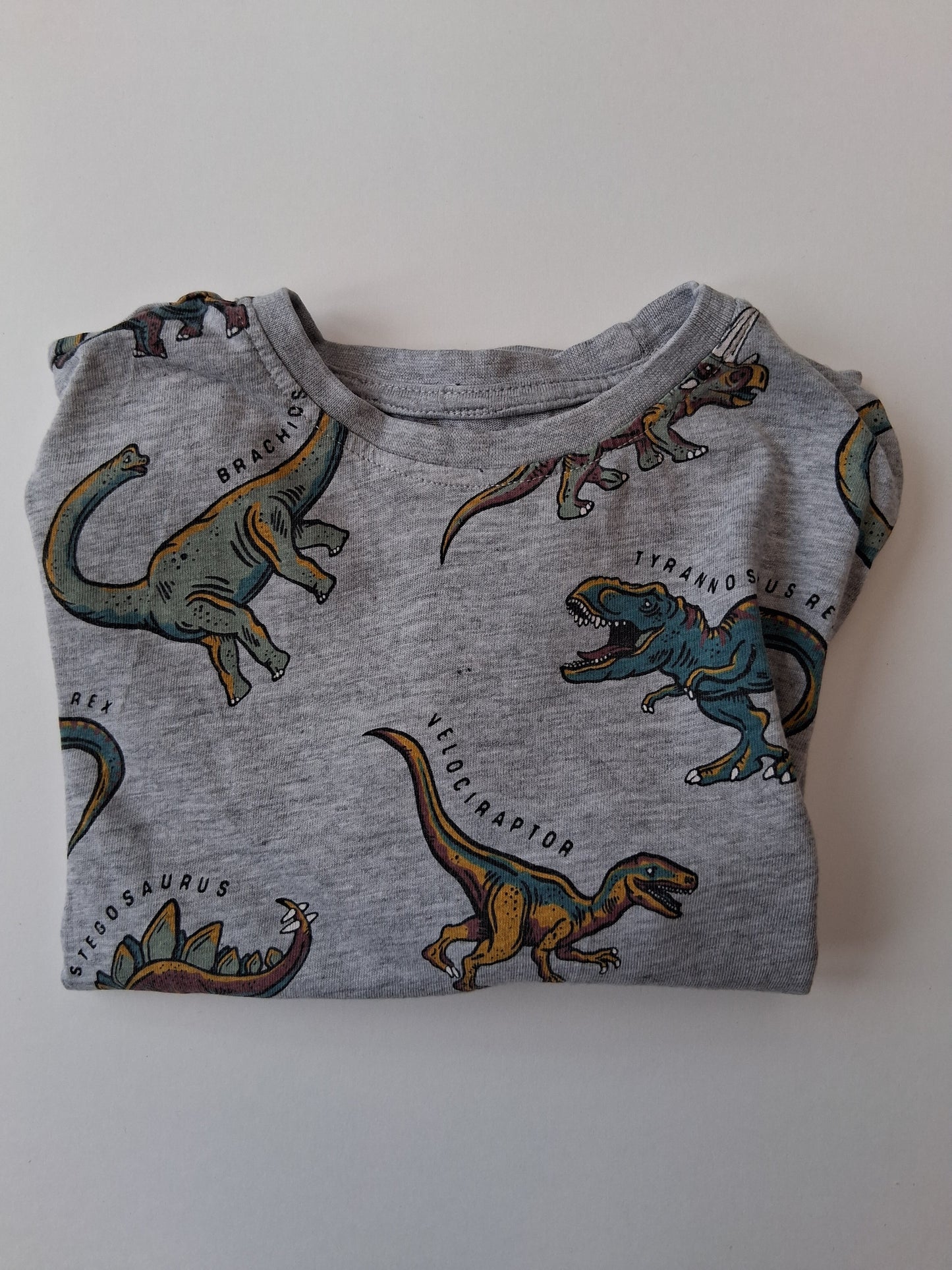 Dinosaur T-shirt - Primark