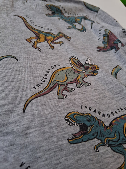 Dinosaur T-shirt - Primark
