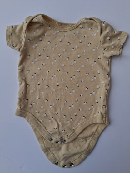 Short Sleeved Bodysuits Set - 9-12 Months - F&F